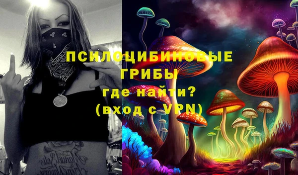 героин Ельня