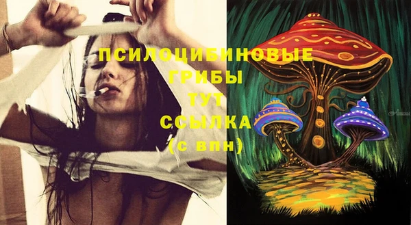 амфетамин Елизово